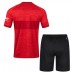 Stuttgart Replica Away Minikit 2023-24 Short Sleeve (+ pants)